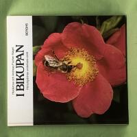 I bikupan honungsbinas underbara v&auml;rld