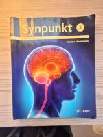 Synpunkt 2