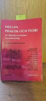 Mellan praktik och teori