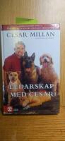 Ledarskap med Cesar