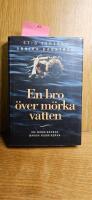 En bro &ouml;ver m&ouml;rka vatten : om m&auml;nniskorna bakom rubrikerna