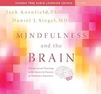 Mindfulness and the Brain: A Professional Training in the Science & Practice of Meditative Awareness (6 Audio CDs)