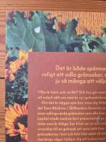 Skillnadens favoriter : femton fenomenala gr&ouml;nsaker att lyckas med