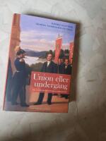 Union eller underg&aring;ng. Del 2, Den revolution&auml;ra skandinavismen