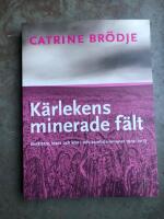 K&auml;rlekens minerade f&auml;lt - ber&auml;ttare, klass och k&ouml;n i tolv samtidsromaner 1912-2013