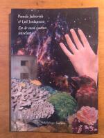 Ett år med sjutton stavelser