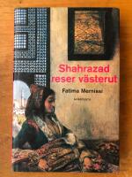 Shahrazad reser v&auml;sterut : Olika kulturer, olika harem