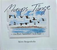 Morups T&aring;nge : mellan himmel och hav