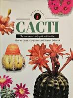 Cacti