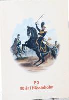 P 2 50 &aring;r i H&auml;ssleholm