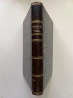 Faust / Fauststudier