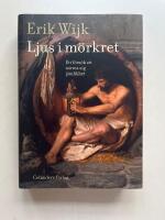 Ett ljus i m&ouml;rkret - Ett f&ouml;rs&ouml;k att n&auml;rma sig j&auml;mlikhet