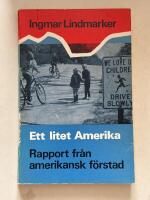 Ett litet Amerika - Rapport fr&aring;n en Amerikansk f&ouml;rstad
