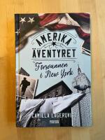 F&ouml;rsvunnen i New York -Del 1 i Amerika&auml;ventyret