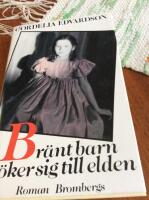 Br&auml;nt barn s&ouml;ker sig till elden : roman
