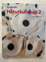Synpunkt 2