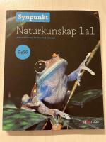 Synpunkt