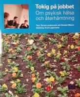 Tokig p&aring; jobbet : om psykisk h&auml;lsa och &aring;terh&auml;mtning
