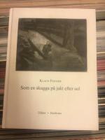 Som en skugga p&aring; jakt efter sol