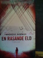 En rasande eld - thriller