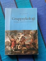 Gruppsykologi : om grupper, organisationer och ledarskap