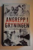 Angrepp i gryningen : slaget om Narvik, 9-10 april 1940