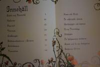 Br&ouml;derna Grimms sagor