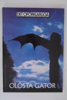 Ol&ouml;sta g&aring;tor : egendomliga h&auml;ndelser som inte g&aring;r att f&ouml;rklara