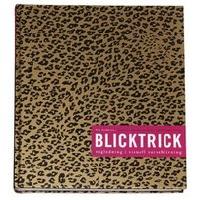 Blicktrick : v&auml;gledning i visuell varseblivning