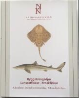 Ryggstr&auml;ngsdjur : lansettfiskar - broskfiskar. Chordata : branchiostomatidae - chondrichthyes