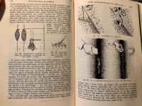 Handbok f&ouml;r Tr&auml;dg&aring;rdsodlare