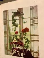 Husmoderns Tr&auml;dg&aring;rdsBok