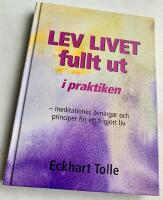 Lev livet fullt ut i praktiken : Meditationer, &ouml;vningar och