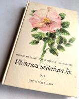 V&auml;xternas underbara liv - L&auml;sebok f&ouml;r Grundskolan, Del B