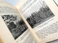 Skoltr&auml;dg&aring;rden - Handledning vid undervisning i tr&auml;dg&aring;rdssk&ouml;tsel