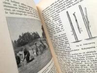 Skoltr&auml;dg&aring;rden - Handledning vid undervisning i tr&auml;dg&aring;rdssk&ouml;tsel