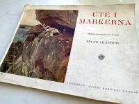 Ute i Markerna - Reproduktioner efter tavlor av Bruno Liljefors 