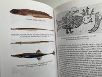 Havsr&aring;ttor, kuttluckor och rabboxar - folklig kunskap om fiskar i Norden
