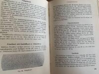 Mejeril&auml;ra