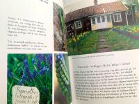 V&aring;rk&auml;nning - l&ouml;kar, kn&ouml;lar och andra v&aring;rv&auml;xter f&ouml;r tr&auml;dg&aring;rden