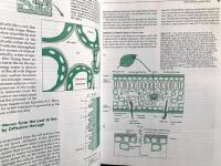 Plant Physiology - 2nd edition
