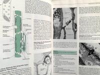 Plant Physiology - 2nd edition