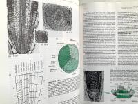 Plant Physiology - 2nd edition