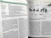 Plant Physiology - 2nd edition