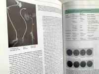 Plant Physiology - 2nd edition