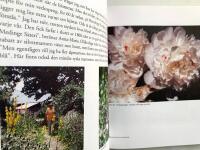 Bergslagen blommar : Tr&auml;dg&aring;rd och kultur i Bergslagsbygd
