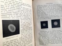 Universum - Det o&auml;ndligt lilla och Det o&auml;ndligt stora
