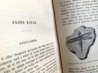 Universum - Det o&auml;ndligt lilla och Det o&auml;ndligt stora