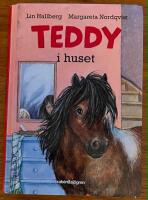 Teddy i huset