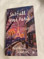 Sn&ouml;fall &ouml;ver Paris